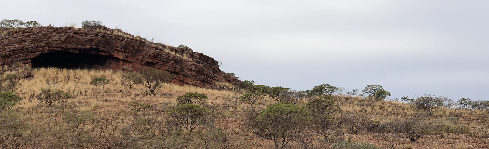 Cheela Plains, Western Australia, Australia - 3 Reviews, Map | AllTrails