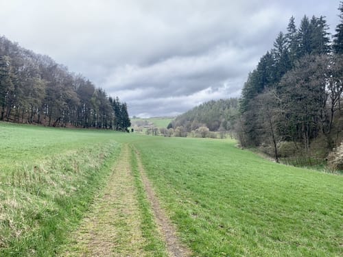 Stumpfarmweg