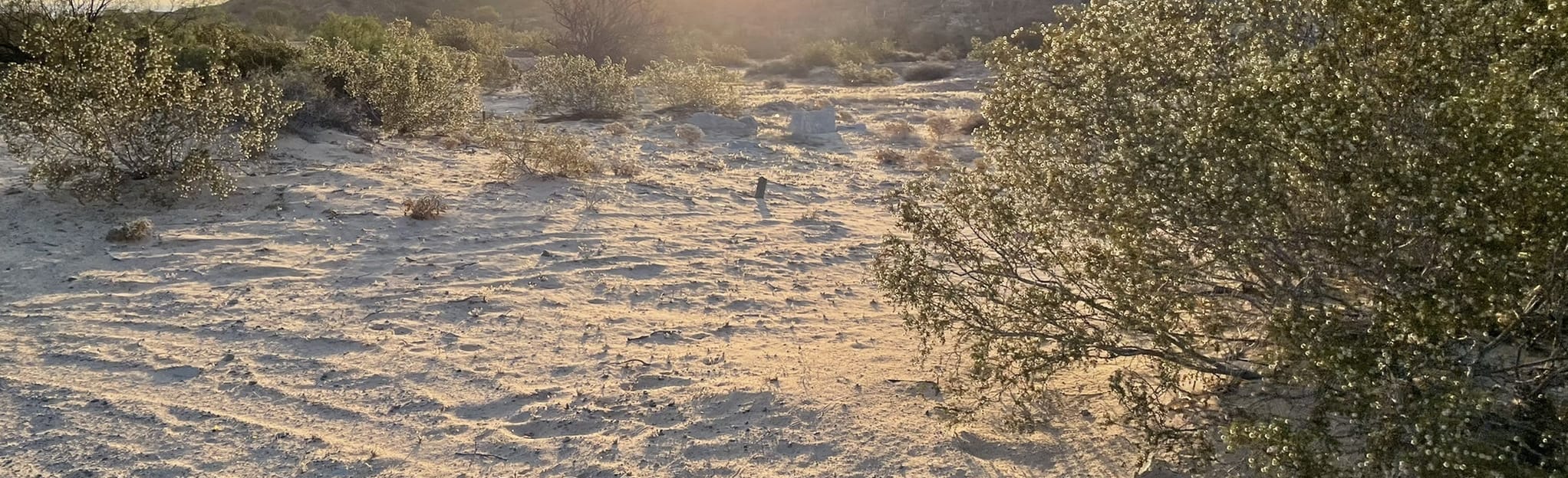 Playa Ensenada Blanca Base Cerro El Machorro 6 Reviews, Map Baja