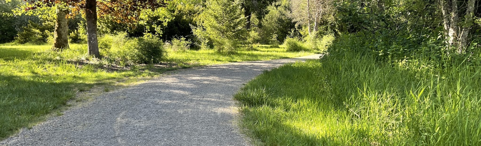 Pleasant Valley Loop, Washington 78 Reviews, Map AllTrails