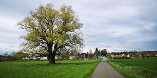 Entlang der Pleiße von Ebersbrunn nach Gößnitz