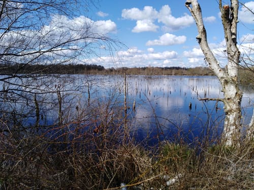 Tarbeker Moor und Muggesfelder See ab Muggesfelde