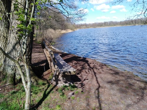 Tarbeker Moor und Muggesfelder See ab Muggesfelde