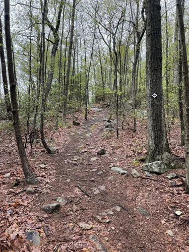 Best Hikes and Trails in West Brook Preserve AllTrails