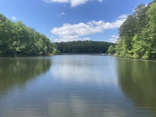 2023 Best Lake Trails in Pocahontas | AllTrails