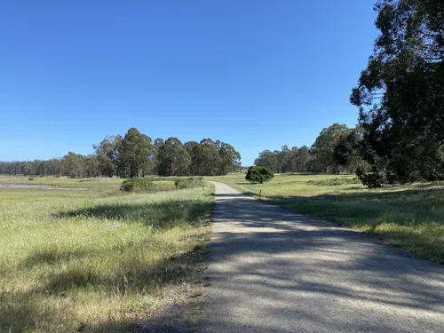 2023 Best Historic Site Trails in Point Pinole Regional Park | AllTrails