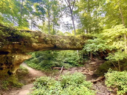 10 Best Hikes And Trails In Shawnee National Forest Alltrails