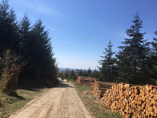 Von Lehmhof zur Totenkopf-Aussicht