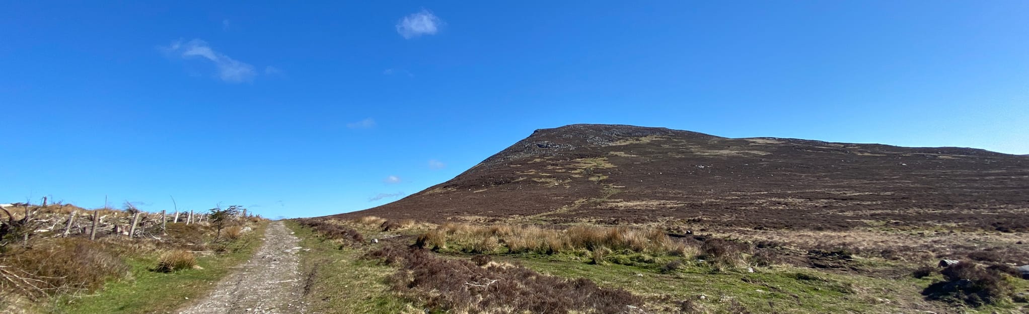 Blackstairs Loop 120 Fotos County Wexford, Irland AllTrails