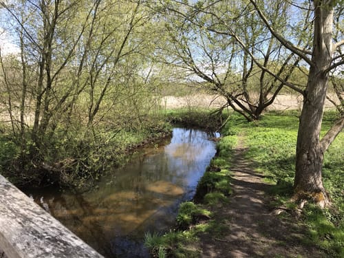 Rund um Horneburg