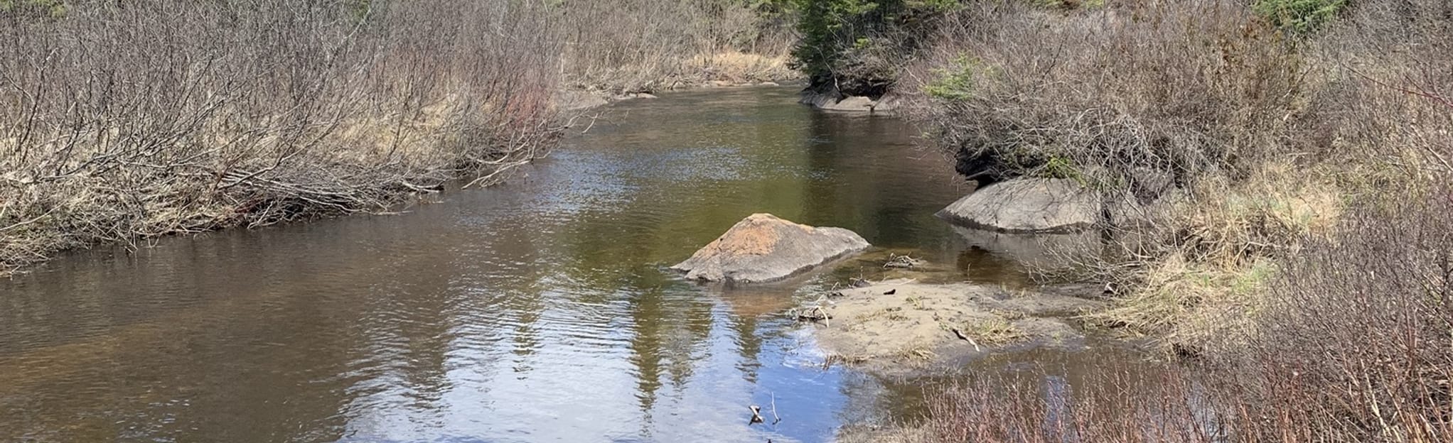 Rivière Noire via Baie Ivry 2 Photos Québec, Canada Randonnée