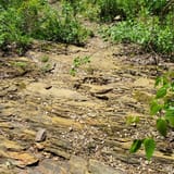 blue marsh bike trail