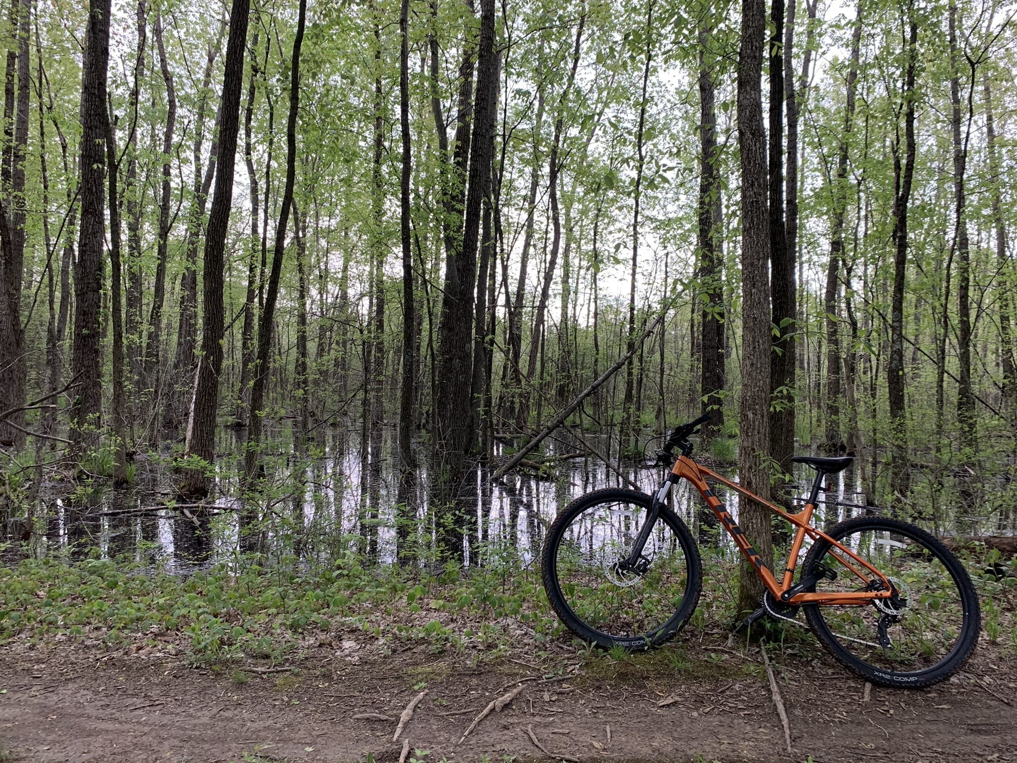 Photos of Alum Creek State Park Mountain Bike Trail Beginner Ohio AllTrails
