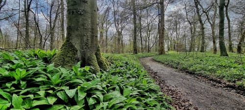 Von Banteln über die Sieben Berge