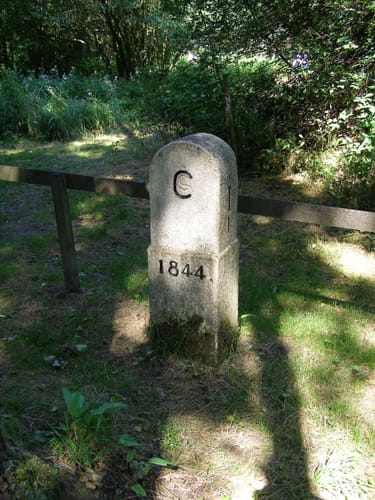 Triebeltalwanderung 2007