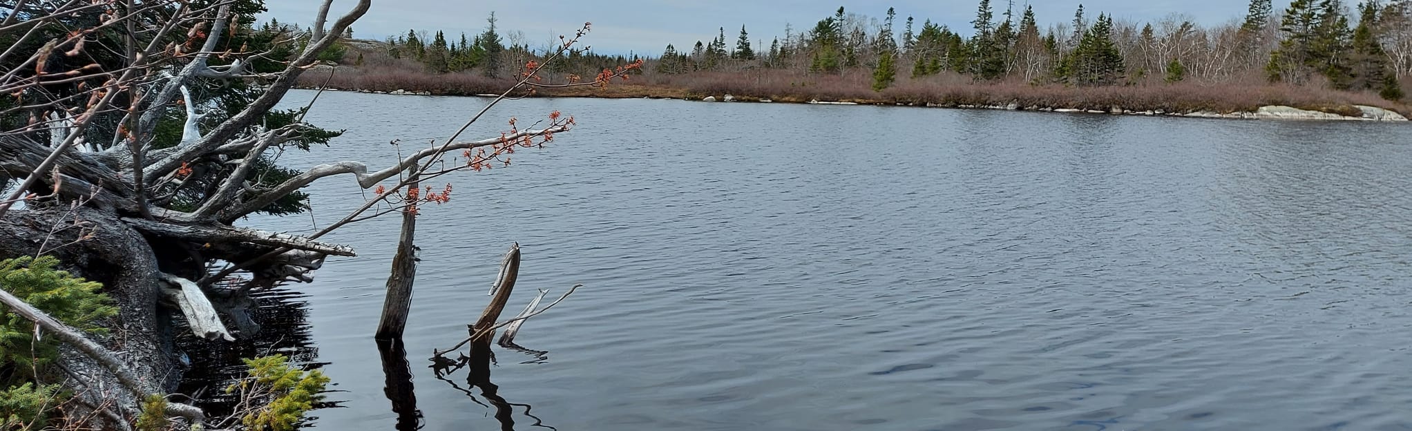 Pot Lake Trail 4 Reviews, Map Nova Scotia, Canada AllTrails