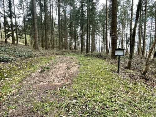 Natur-Erlebnispfad Müllenbach