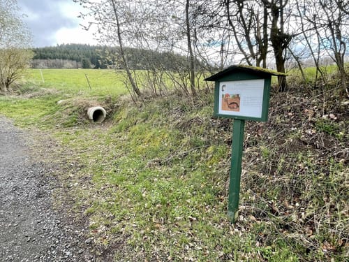 Natur-Erlebnispfad Müllenbach