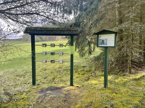 Natur-Erlebnispfad Müllenbach