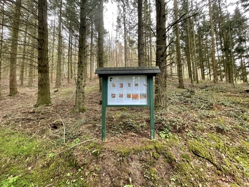 Natur-Erlebnispfad Müllenbach