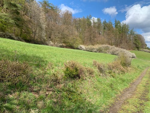 Biedenkopf: Berggarten - Himmelborn -  Wasserrad