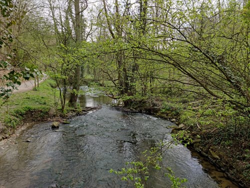 Auermühle Rundweg