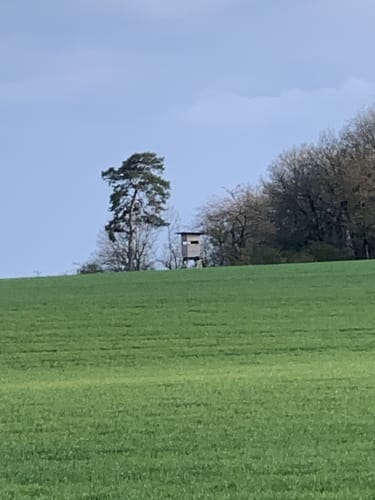 Lahnwanderweg Etappe 7: Marburg - Fronhausen