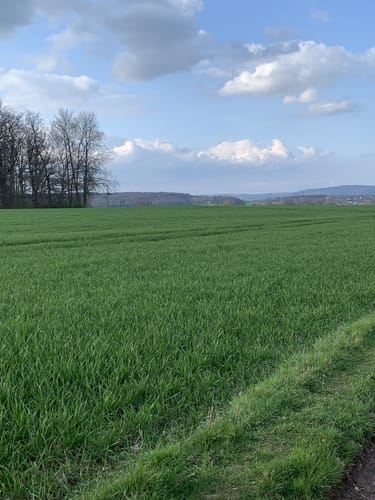 Lahnwanderweg Etappe 7: Marburg - Fronhausen