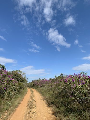 Brasília Na Trilha : PARQUE NACIONAL DE BRASÍLIA - PNB - PARQUE DA