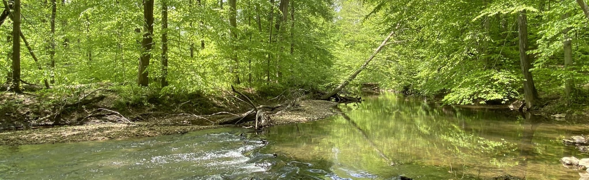 Ridley Creek Orange Trail 834 Reviews, Map Pennsylvania AllTrails