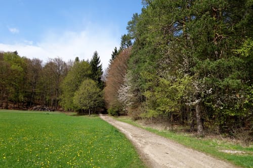 Wildgehege Hufeisen nach Spies