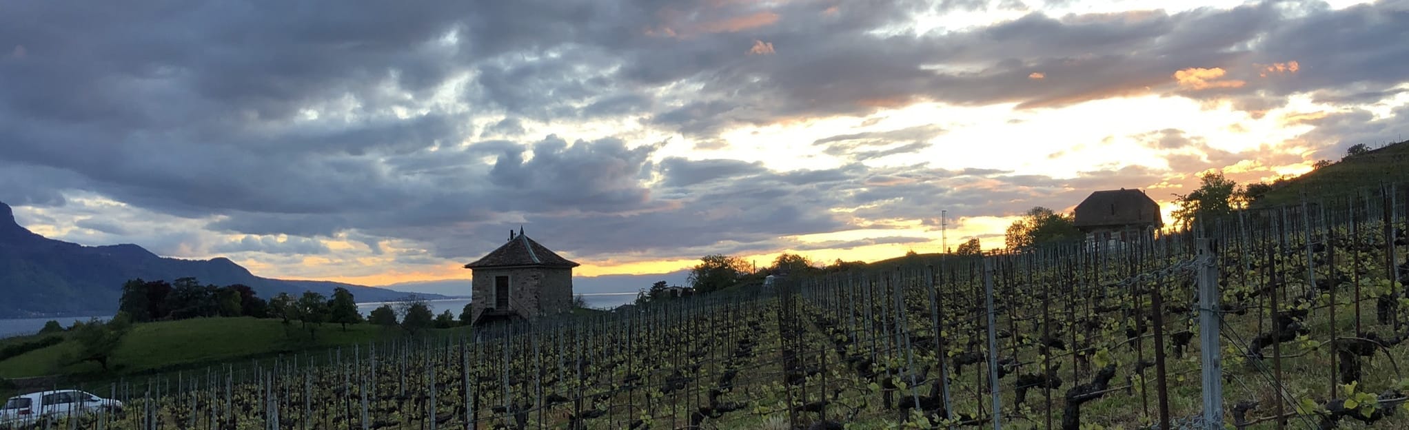 Clarens Chailly, Vaud, Switzerland 10 Reviews, Map AllTrails