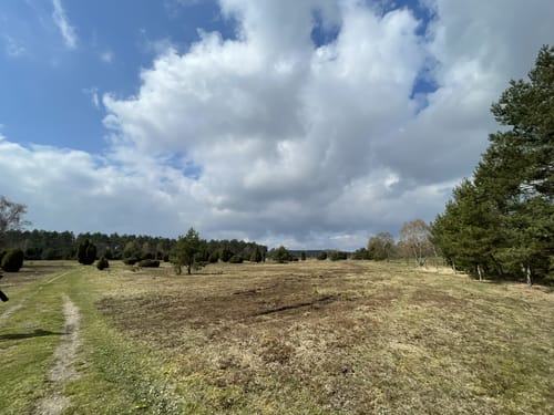 Egestorf - Voßmoor - Wilsede