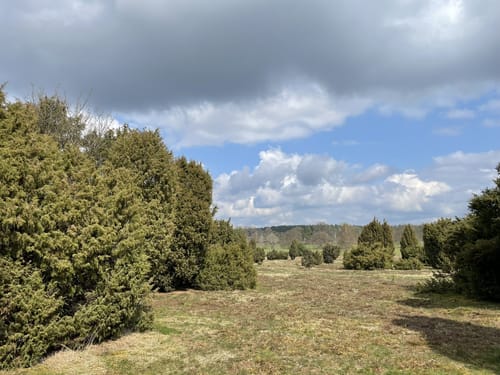 Bienen-Route Reitweg