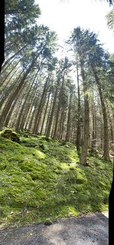 Über Silberberg und Schindelthal