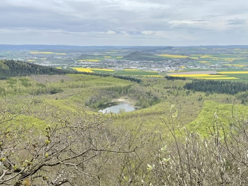 Pellenzer Seepfad (Traumpfad)