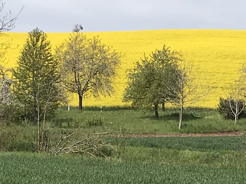 Kraichgau-Stromberg: Riesling-Tour