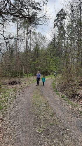 Unfindener Waldrunde über Königsberg in Bayern