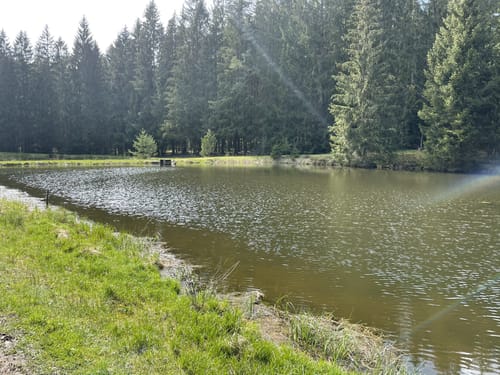 Von Lindenhof zum Mühlnickelweiher durch das NSG Waldnaabtal