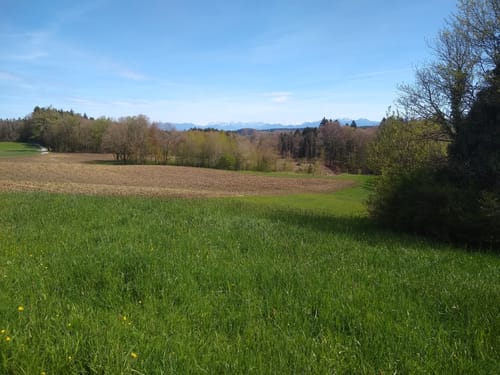 Biergartentour (Tour 12)