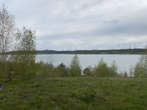 Um den Lappwaldsee