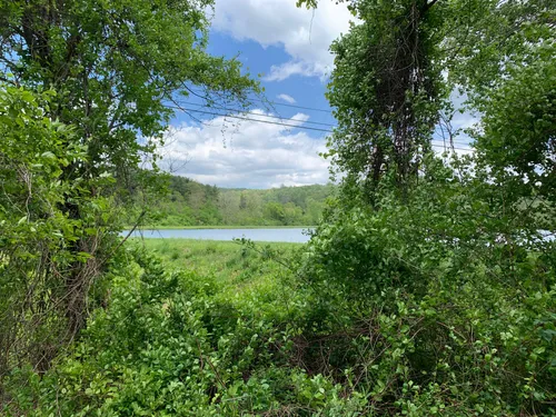 Best hikes near on sale front royal va