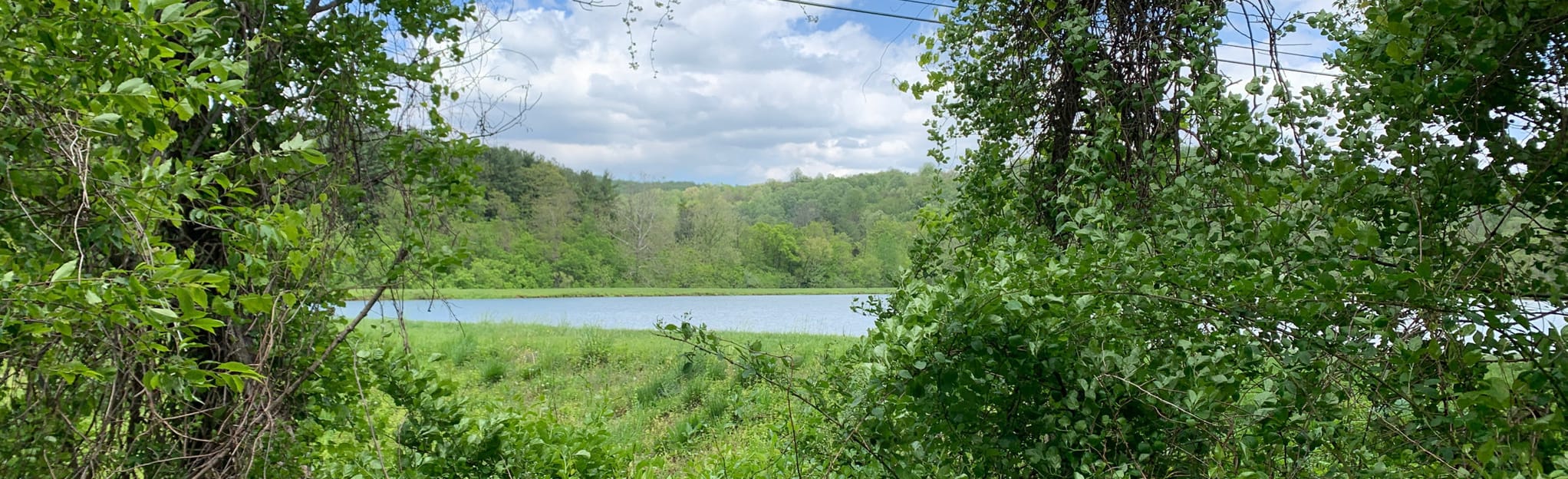 Appalachian Trail Sloan Creek - EyJidWNrZXQiOiJhc3NldHMuYWxsdHJhaWxzLmNvbSIsImtleSI6InVwbG9hZHMvcGhvdG8vaW1hZ2UvMzYxOTA3MzgvZWZmMjM1Y2ZlMWVkNDY1ZTBmODhlOWEwMTBjYWFjZjEuanBnIiwiZWRpdHMiOnsidG9Gb3JtYXQiOiJqcGVnIiwicmVzaXplIjp7IndpZHRoIjoyMDQ0LCJoZWlnaHQiOjYyNCwiZml0IjoiY292ZXIifSwicm90YXRlIjpudWxsLCJqcGVnIjp7InRyZWxsaXNRdWFudGlzYXRpb24iOnRydWUsIm92ZXJzaG9vdERlcmluZ2luZyI6dHJ1ZSwib3B0aW1pc2VTY2FucyI6dHJ1ZSwicXVhbnRpc2F0aW9uVGFibGUiOjN9fX0=