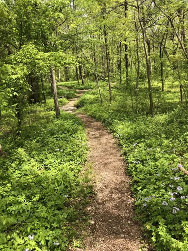 Best Short Trails in Robert Allerton Park | AllTrails