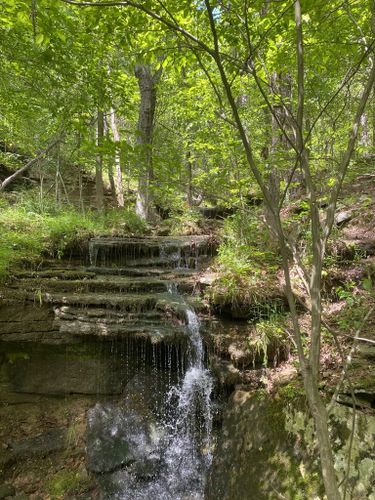 Best Hikes and Trails in Bluffton Preserve | AllTrails