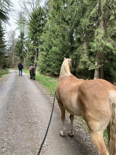 Beerfelden, Etzean und Hüttenthal