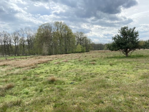 Otterberg Wanderweg