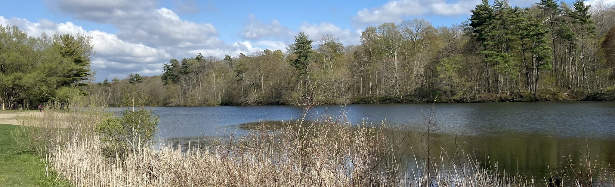 Bradley's Creek and Springwater Pond Loop, 591 Fotos Ontario, Kanada