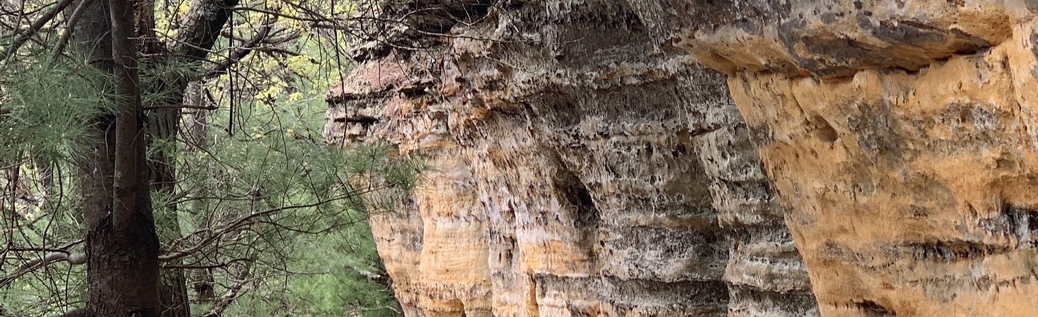 Levis Mound Porky Point Loop, Wisconsin 66 Reviews, Map AllTrails