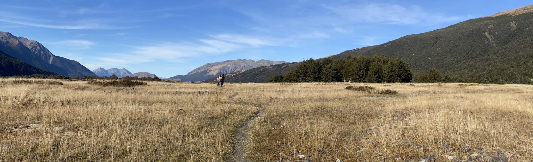 Anti Crow Hut via O’Malley Track West Coast, New Zealand AllTrails
